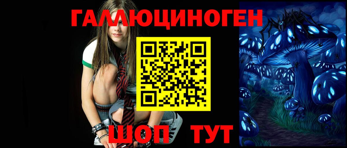 Псилоцибиновые грибы Psilocybe Богданович
